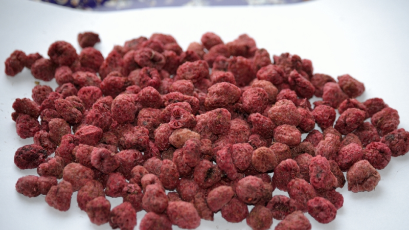 How to dry raspberry berries and leaves at home