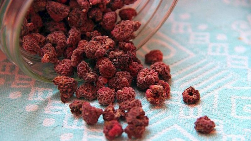 How to dry raspberry berries and leaves at home