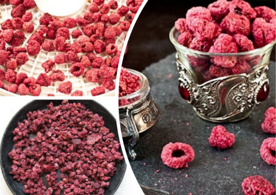 How to dry raspberry berries and leaves at home