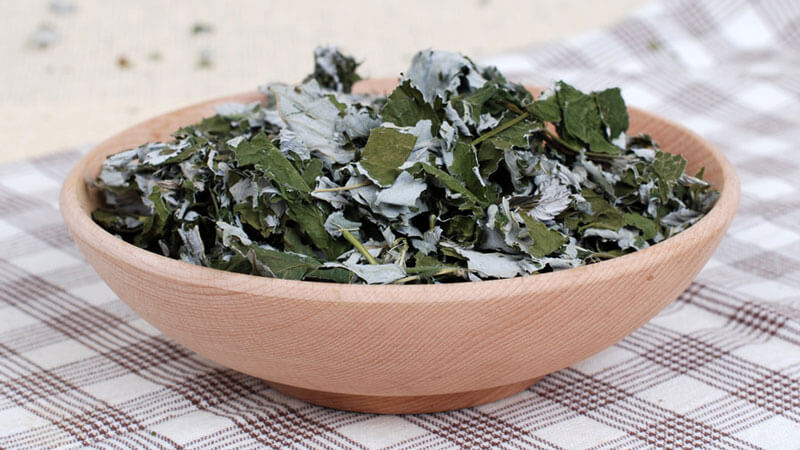 How to dry raspberry berries and leaves at home