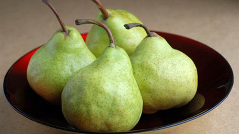 The chemical composition of the pear, calorie content and its benefits and harm to health