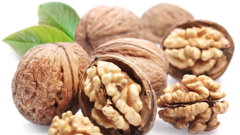 Composition, calorie content, energy value, glycemic index of nuts, benefits and harms