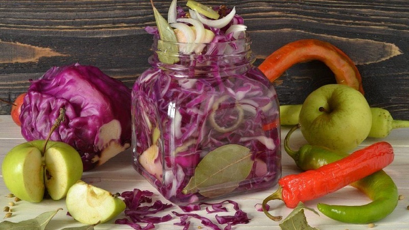 Sauerkraut recipes with various ingredients