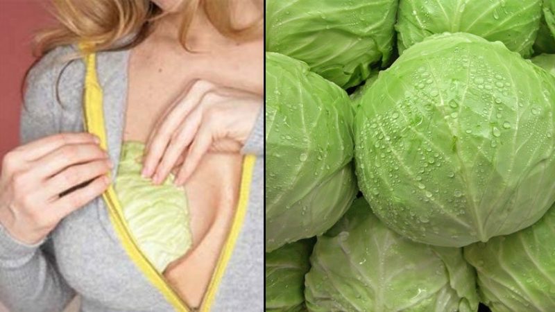 Cabbage from mastopathy: treatment with alternative methods, reviews