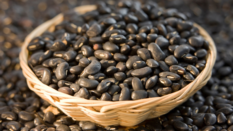 Varieties and varieties of beans: horse (garden), decorative, large-fruited vegetables, fodder