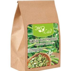 Varieties and varieties of beans: horse (garden), decorative, large-fruited vegetables, fodder