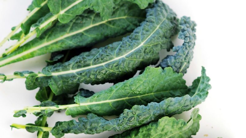 Kale: photo, description of varieties, collection technology