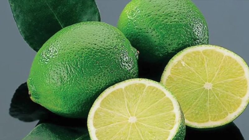 Lime: composition and useful properties of the fruit, application features