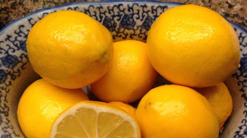 Orange variety of Meyer's lemon: description, advantages and disadvantages, cultivation features