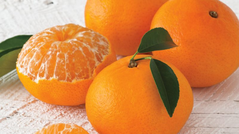 Is it possible to eat tangerines while losing weight and how they affect the fight against excess weight