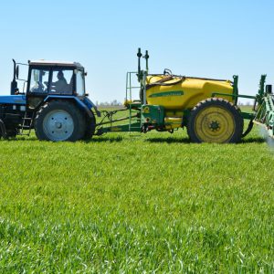 Top dressing of winter wheat: methods and rates of fertilization