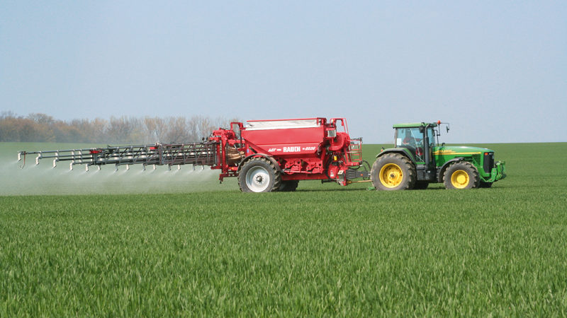 Top dressing of winter wheat: methods and rates of fertilization