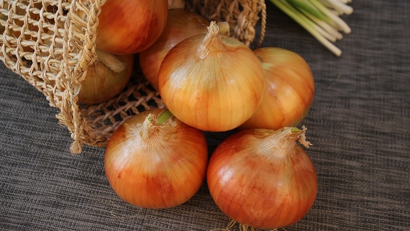 Step-by-step guide to growing onions from seeds in one season without the hassle