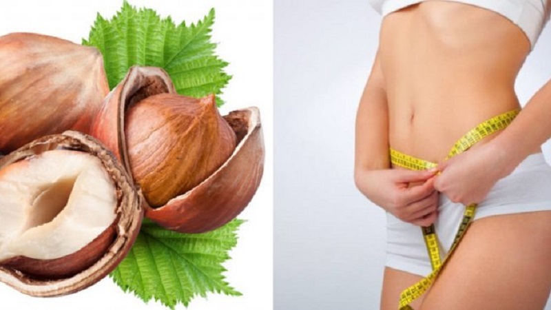 Useful properties and harm of hazelnuts for weight loss