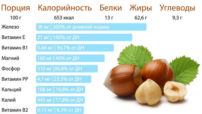 Useful properties and harm of hazelnuts for weight loss