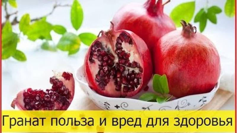 The benefits and harms of pomegranate for the health of women, men and children
