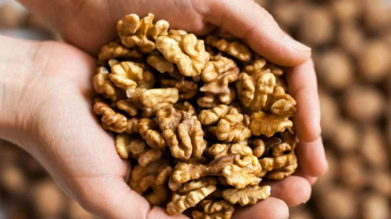 The benefits and harms of walnuts for women