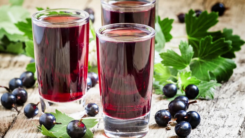 Black currant leaves - useful and medicinal properties