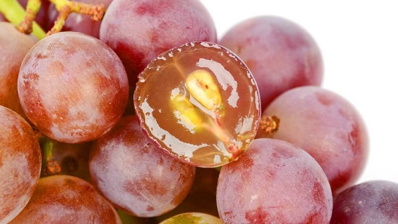 The benefits and harms of grape seed for the body