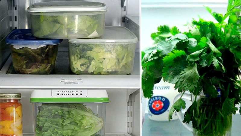 How to store fresh basil in the refrigerator