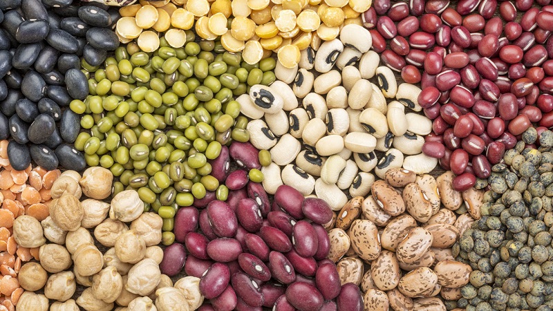 Varieties and varieties of beans: horse (garden), decorative, large-fruited vegetables, fodder