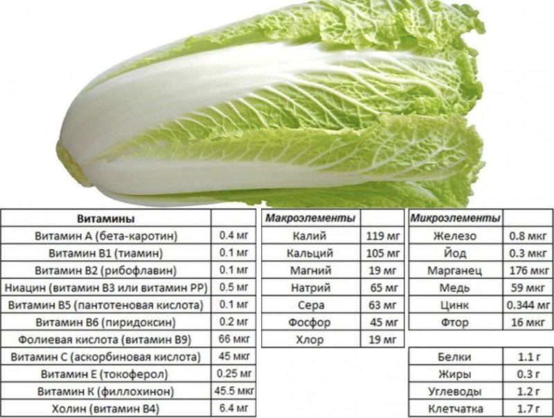 How many calories are in Chinese cabbage and how it is useful