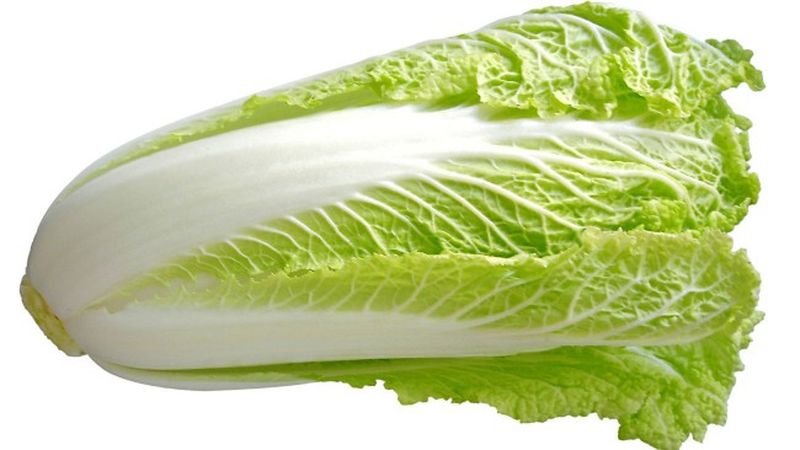 How many calories are in Chinese cabbage and how it is useful