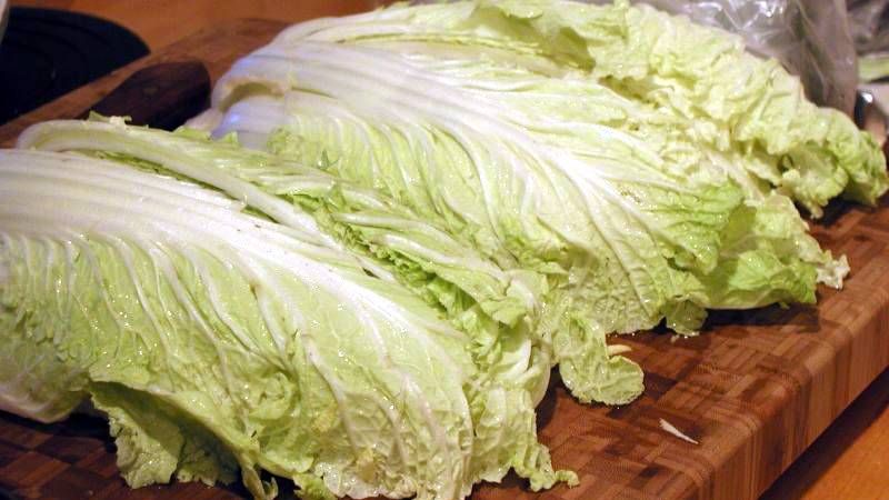 How many calories are in Chinese cabbage and how it is useful