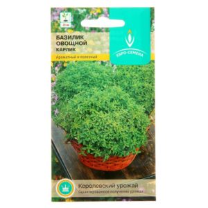 What is good about the Dwarf basil variety: reviews of those who grew it, advantages and disadvantages