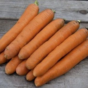 Unpretentious and disease-resistant carrot variety Berlikum Royal