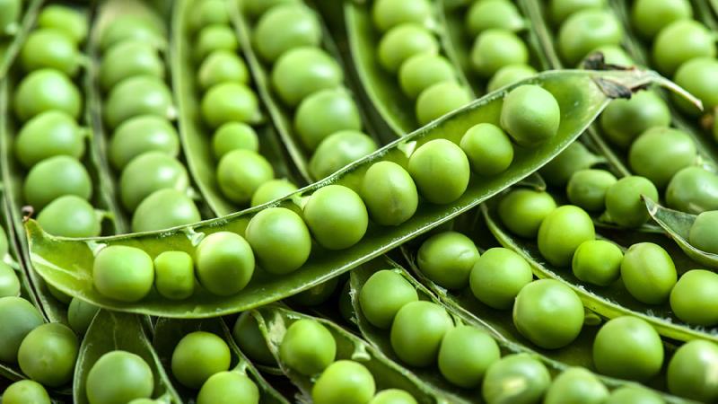 Compare chickpeas and peas: what is the difference and what is the similarity