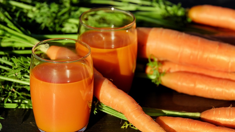 Mid-season carrot variety Losinoostrovskaya