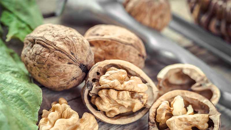 The use of walnuts for weight loss: is it possible to eat and how much