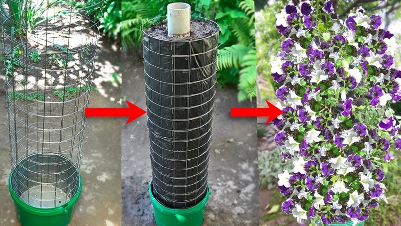 Growing petunias at home and in the open field: necessary conditions, planting, care