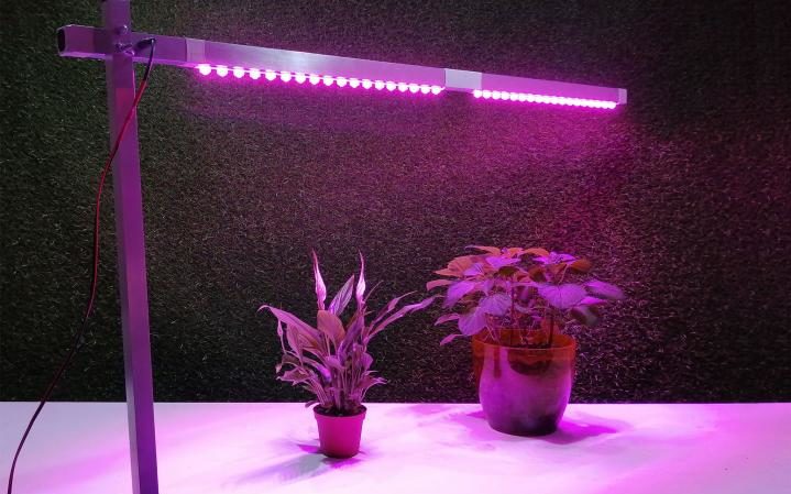 Choosing a phytolamp for seedlings