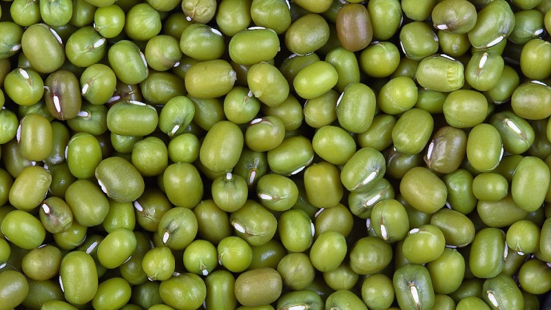 Green mung beans - what they are and how they are useful