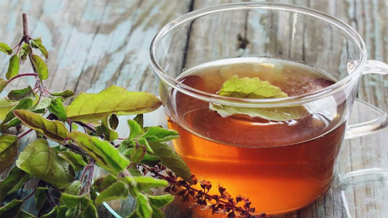 Is basil possible during pregnancy