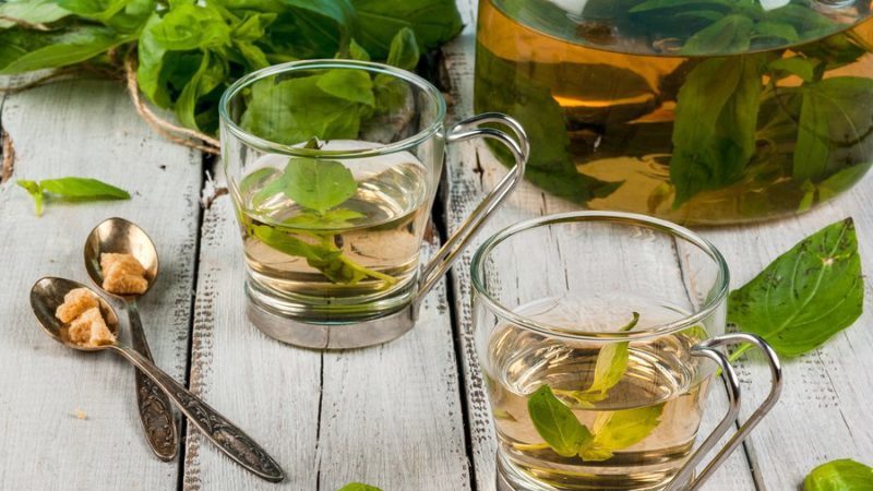 Is basil possible during pregnancy