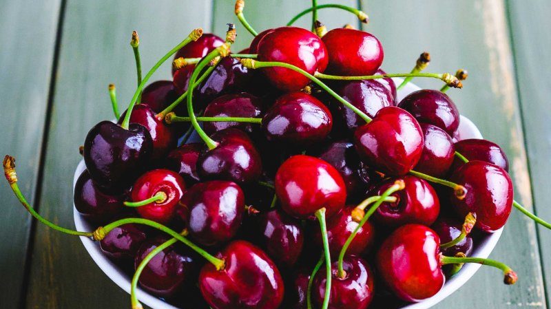 Large-fruited, unpretentious variety of columnar cherry Sylvia