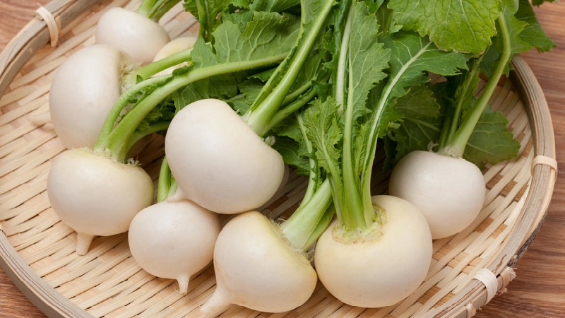 What is turnip, what it looks like in the photo, how to cook it and eat it