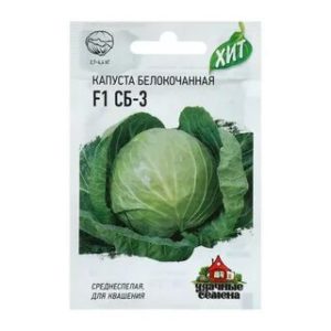 Mid-season hardy cabbage hybrid SB 3 F1