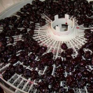Recommendations on how to store cherries at home fresh and processed