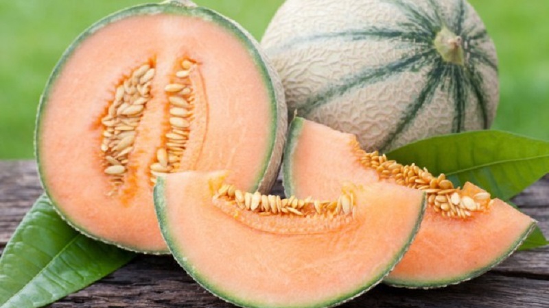 What are the types and varieties of melons