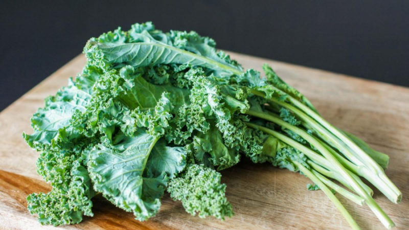 Kale cabbage - what kind of plant is it and what it looks like