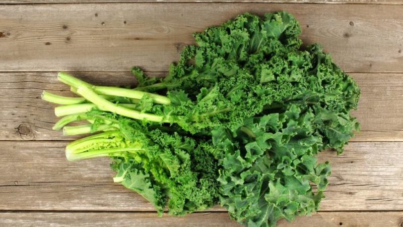 Kale cabbage - what kind of plant is it and what it looks like