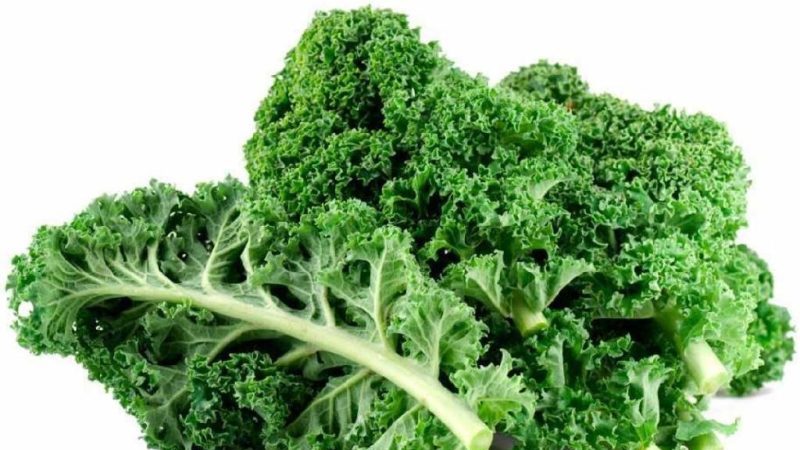 Kale cabbage - what kind of plant is it and what it looks like