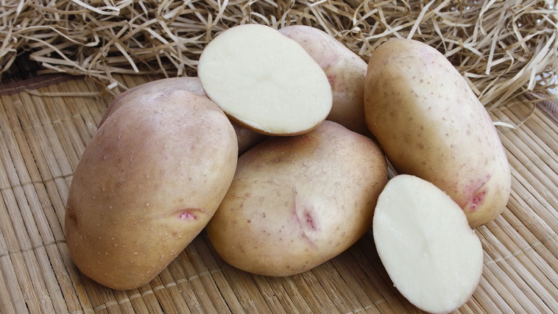 Why during pregnancy pulls potatoes and is it possible to eat it