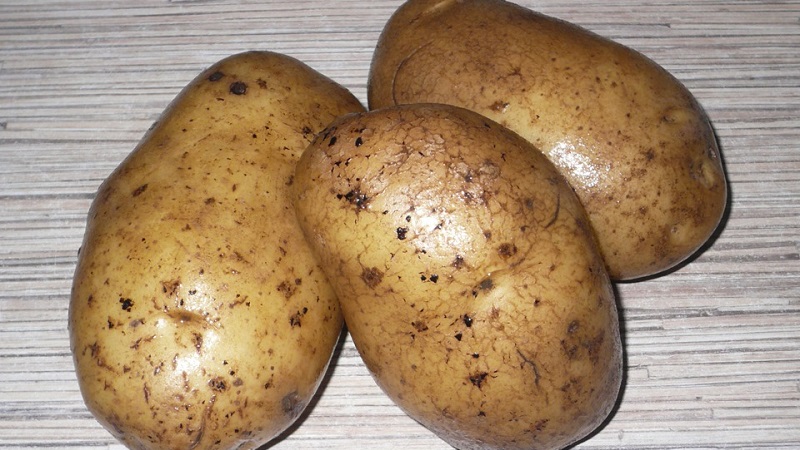 Classification of potatoes by type