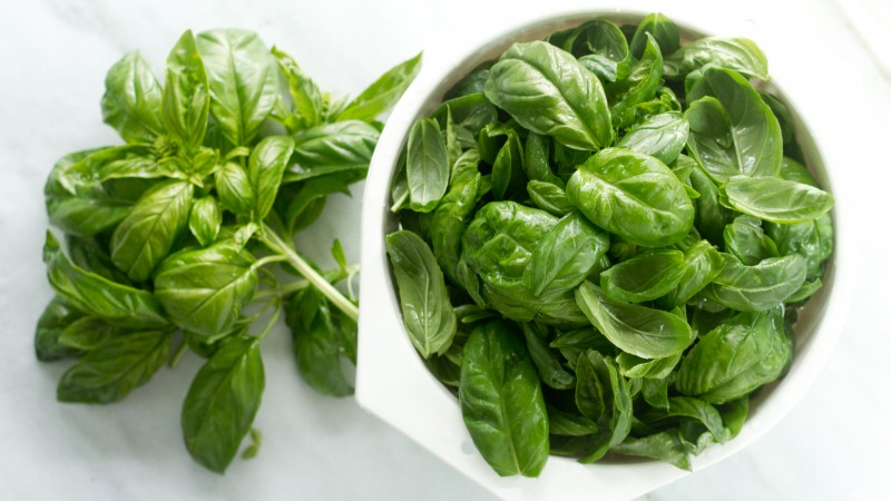The variety of varieties of basil: description and characteristics of varieties