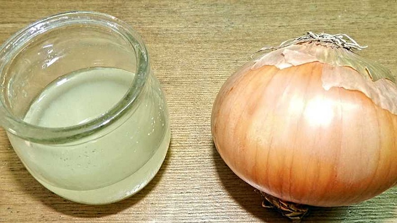 Is it possible to eat onions with type 2 diabetes mellitus: benefits and harms, consumption rates